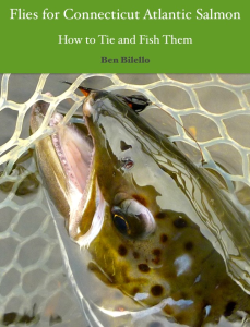 Flies For CT salmon